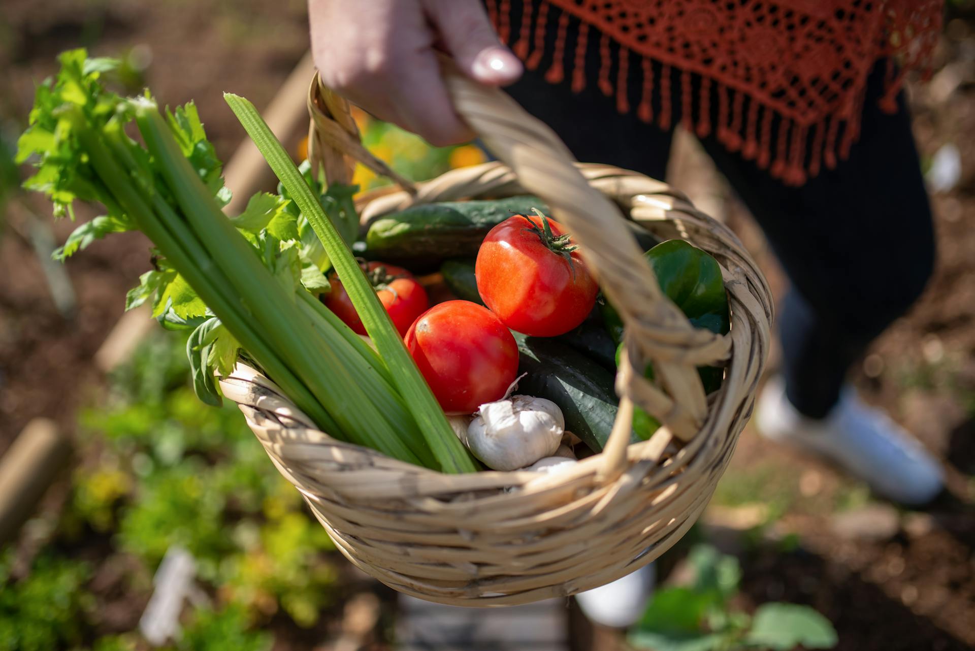Verduras
