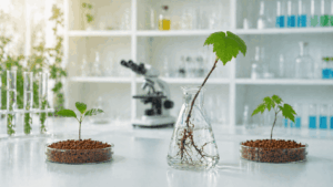Innovación agroalimentaria
