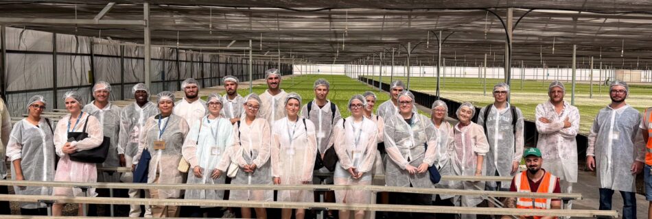 La innovación y el cambio de mentalidad empresarial centran el cierre del curso de verano sobre el futuro agroalimentario